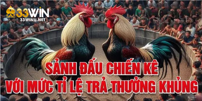 Những yếu tố làm nổi bật đá gà của nhà cái 