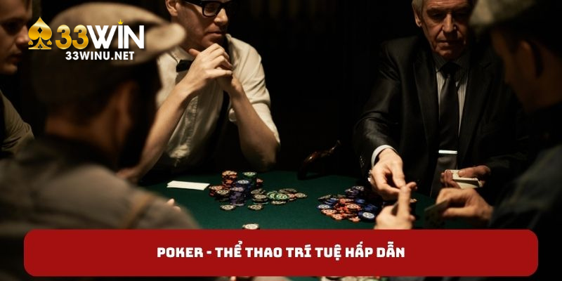 Poker - Thể thao trí tuệ hấp dẫn