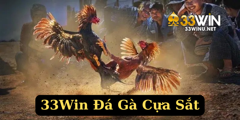 Điểm nổi bật khi chơi 33Win đá gà cựa sắt